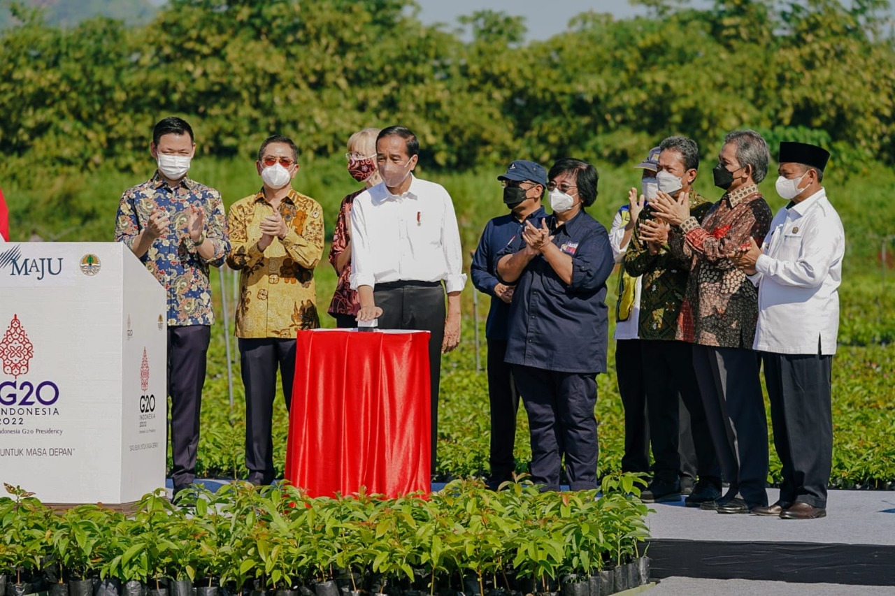 Peringatan Hari Lingkungan Hidup Sedunia: - Presiden Tegaskan Komitmen ...